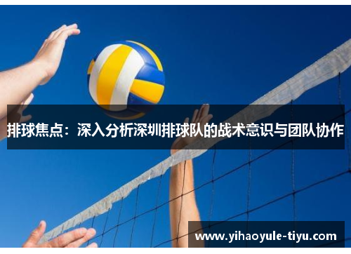 排球焦点：深入分析深圳排球队的战术意识与团队协作