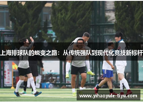 上海排球队的蜕变之路：从传统强队到现代化竞技新标杆