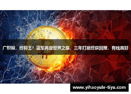 广积粮，终称王！蓝军再登世界之巅，三年打磨终获回报，有钱真好